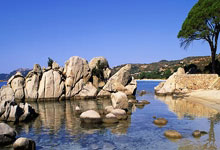 征途国际:镰田大地:日本队还有很多需要改进和提升的地方.